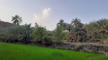 چابهار/ هامین در بلوچستان