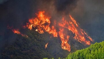 آتش مهارناشدنی/ کابوس تابستان داغ یونان