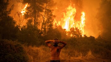 نزدیک به ۶۰۰ کانون آتش سوزی در یونان، فاجعه زیست محیطی
