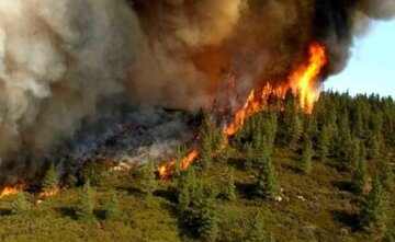 جنگل‌های "گهواره‌کو" در مرز گلستان و مازندران دچار آتش‌سوزی شد