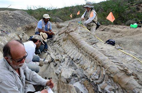 پژوهشگر دیرینه‌شناسی: ارزش توریستی فسیل‌های مراغه تبیین شود