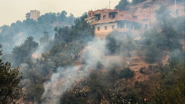 شمار تلفات آتش سوزی جنگل های الجزایر به ۶۵ نفر رسید