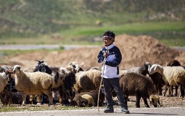 خشکسالی، همسفره عشایر خراسان رضوی