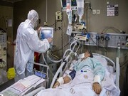 فارس با کمبود تخت های ویژه بیماران کرونا روبرو است 