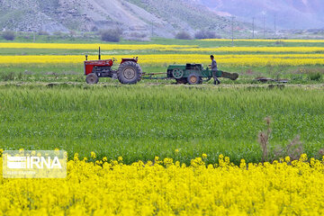 تجهیز و نوسازی اراضی در ۲۱۳ هکتار از مزارع اصفهان انجام می‌شود