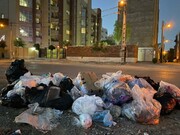 شهر کرمان همچنان سطل زباله ندارد +فیلم