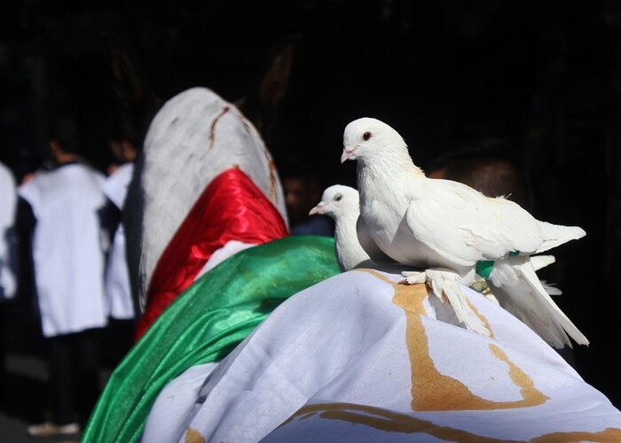 نمایشگاه عکس «شوق حسینی» در مراغه راه‌اندازی شد