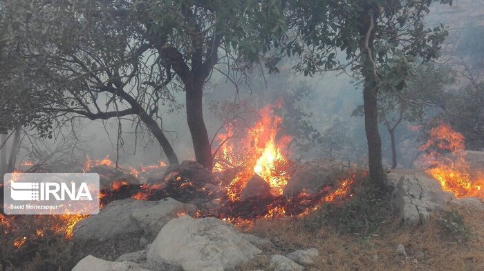 آتش به جان جنگل های کوه سیاه کهگیلویه افتاد