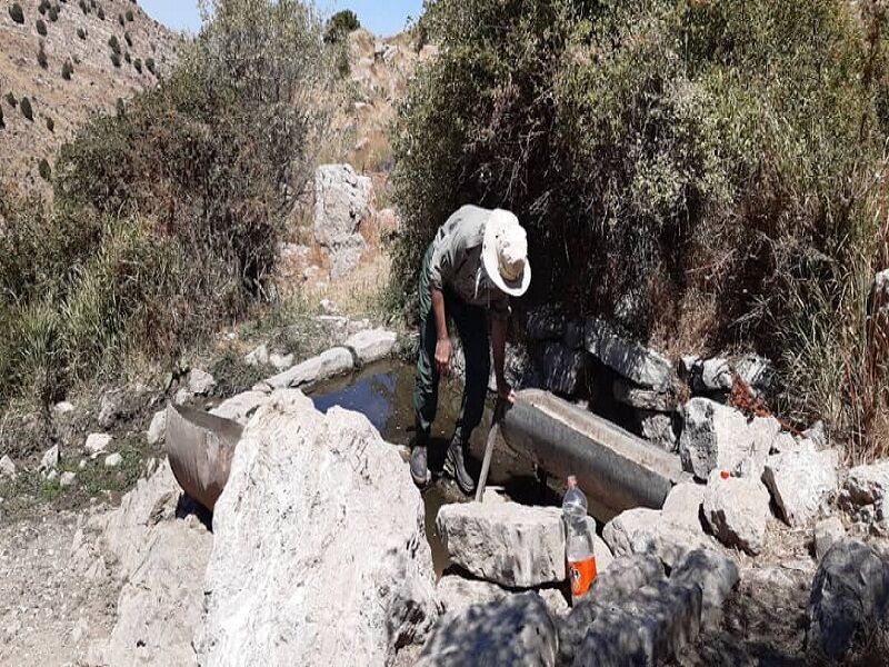 بیماری طاعون نشخوارکنندگان کوچک در پارک ملی تندوره مهار شد