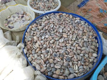 Artisanats marins au sud-est d’Iran