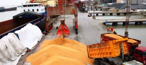 Iran imports over 1m tons of grains to Imam Khomeini Port in 5 months