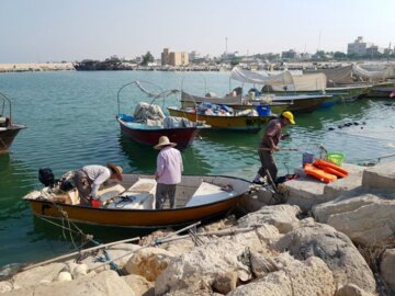 فروش میگو روی اسکله در بوشهر‎