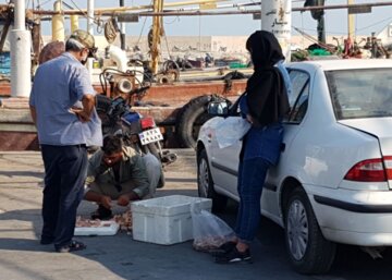 فروش میگو روی اسکله در بوشهر‎