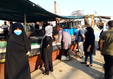 فروش میگو روی اسکله در بوشهر‎