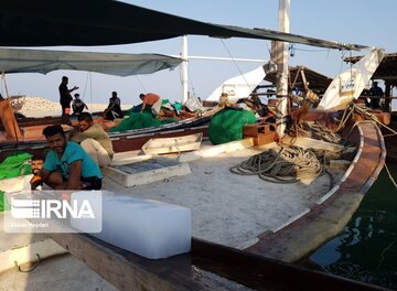 La pêche traditionnelle de crevettes au sud d’Iran