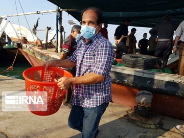 La pêche traditionnelle de crevettes au sud d’Iran