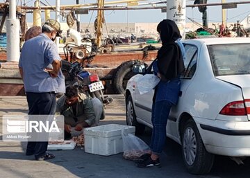 La pêche traditionnelle de crevettes au sud d’Iran