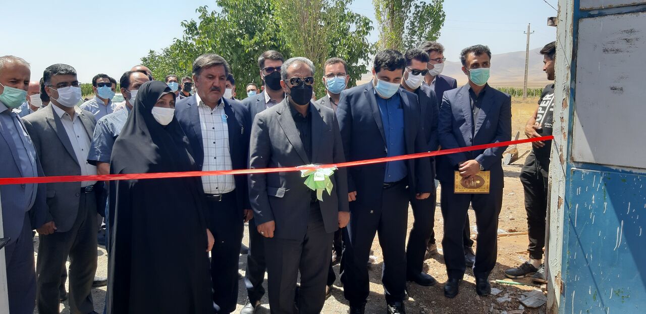 یک گاوداری شیری در تاکستان به بهره برداری رسید