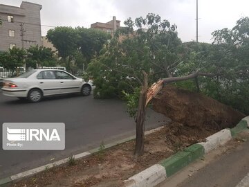 طوفان با سرعت ۱۰۴ کیلومتر شرق گلستان را در نور دید