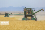 خرید توافقی محصولات کشاورزی در کردستان از مرز ۹ هزار تن گذشت
