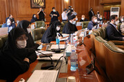 نمایندگان شورای شهر تهران در ۳ کمیسیون و هیات مشخص شدند