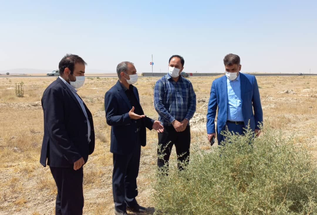 نماینده بهار و کبودراهنگ: مجلس از طرح‌های منابع طبیعی حمایت می‌کند