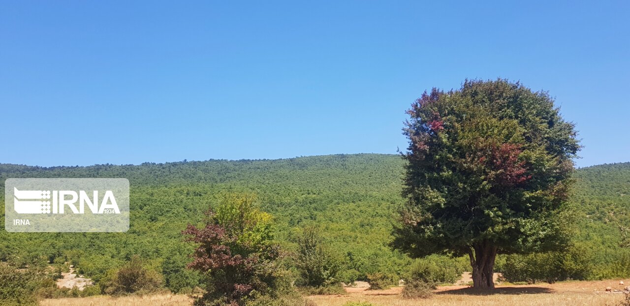 ۴۰ عکس منتخب سال ۱۴۰۰ ایرنا سمنان