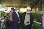 بازدید نماینده ولی فقیه در کردستان از پنج طرح کشاورزی سنندج