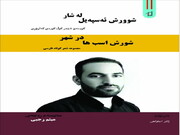 کتاب «شورش اسب‌ها در شهر» اثر «میثم رجبی» شاعر کرمانشاهی منتشر شد