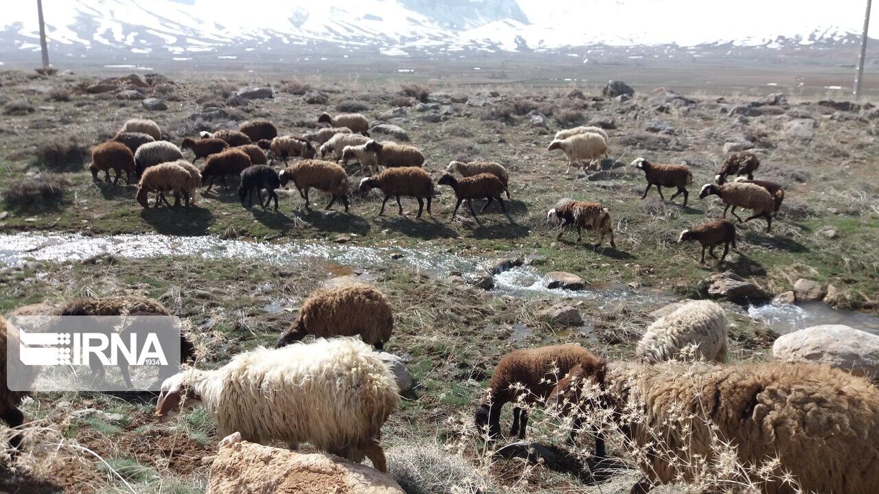 مدیرکل محیط زیست آذربایجان‌شرقی: تخریب سهند متوقف و برای احیای آن اقدام شود
