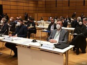 Fifth IPU Conference opens in Vienna