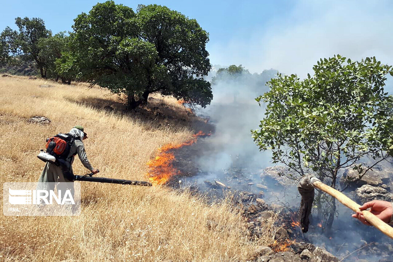 ۱۷۷هکتار از مناطق تحت مدیریت محیط زیست اردبیل اطفای حریق شد