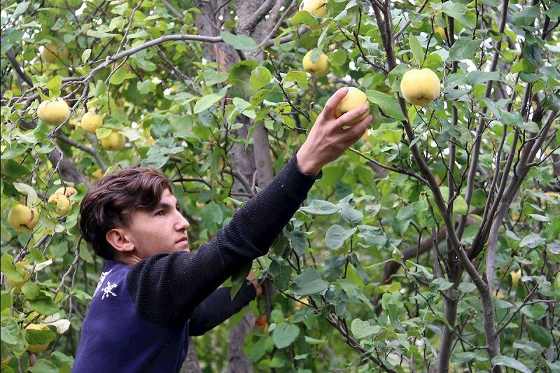 جشنواره هیوا در شهرستان کوثر برگزار می‌شود 