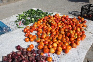 فروش سبزی محلی در جنوب سمنان