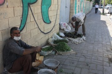 فروش سبزی محلی در جنوب سمنان