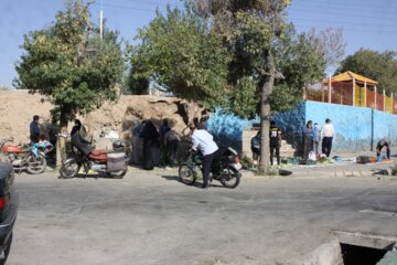 فروش سبزی محلی در جنوب سمنان