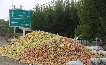 انباشت سیب صنعتی در حاشیه جاده های ارومیه ممنوع است