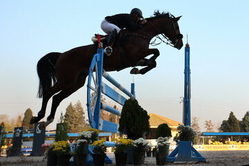 برگزاری مسابقات پرش با اسب منوط به خروج زنجان از وضعیت قرمز کرونا است