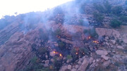 باد مهار آتش در جنگلهای درازنو کردکوی دشوار کرده است