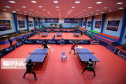 مسابقات تنیس روی میز بین المللی جام امام رضا (ع) در همدان آغاز شد 