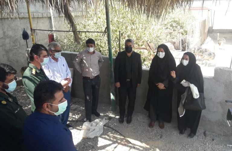 پرورش دهنده شترمرغ در گناوه: نیاز به حمایت دارم