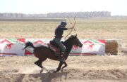 Concurso Internacional de Tiro con Arco a caballo
