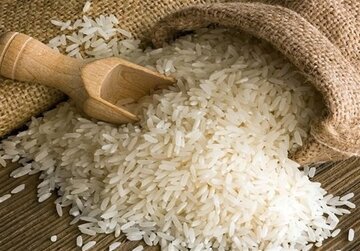 ۴۵۰ هزار تن برنج وارداتی از ابتدای سال توزیع شد
