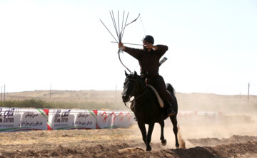 Concurso Internacional de Tiro con Arco a caballo
