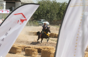 Concurso Internacional de Tiro con Arco a caballo
