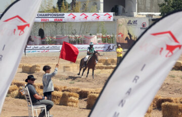 Concurso Internacional de Tiro con Arco a caballo
