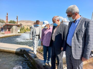 شهرک شیلات در هشترود ایجاد می‌شود