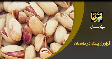 فیلم | فرآوری پسته در دامغان