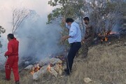 فرماندار: آتش سوزی در منطقه کوه دیل گچساران مهار شد