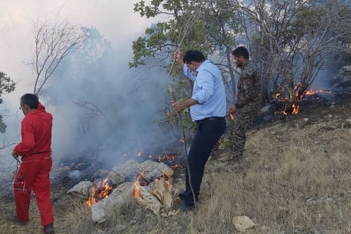 فرماندار: آتش سوزی در منطقه کوه دیل گچساران مهار شد